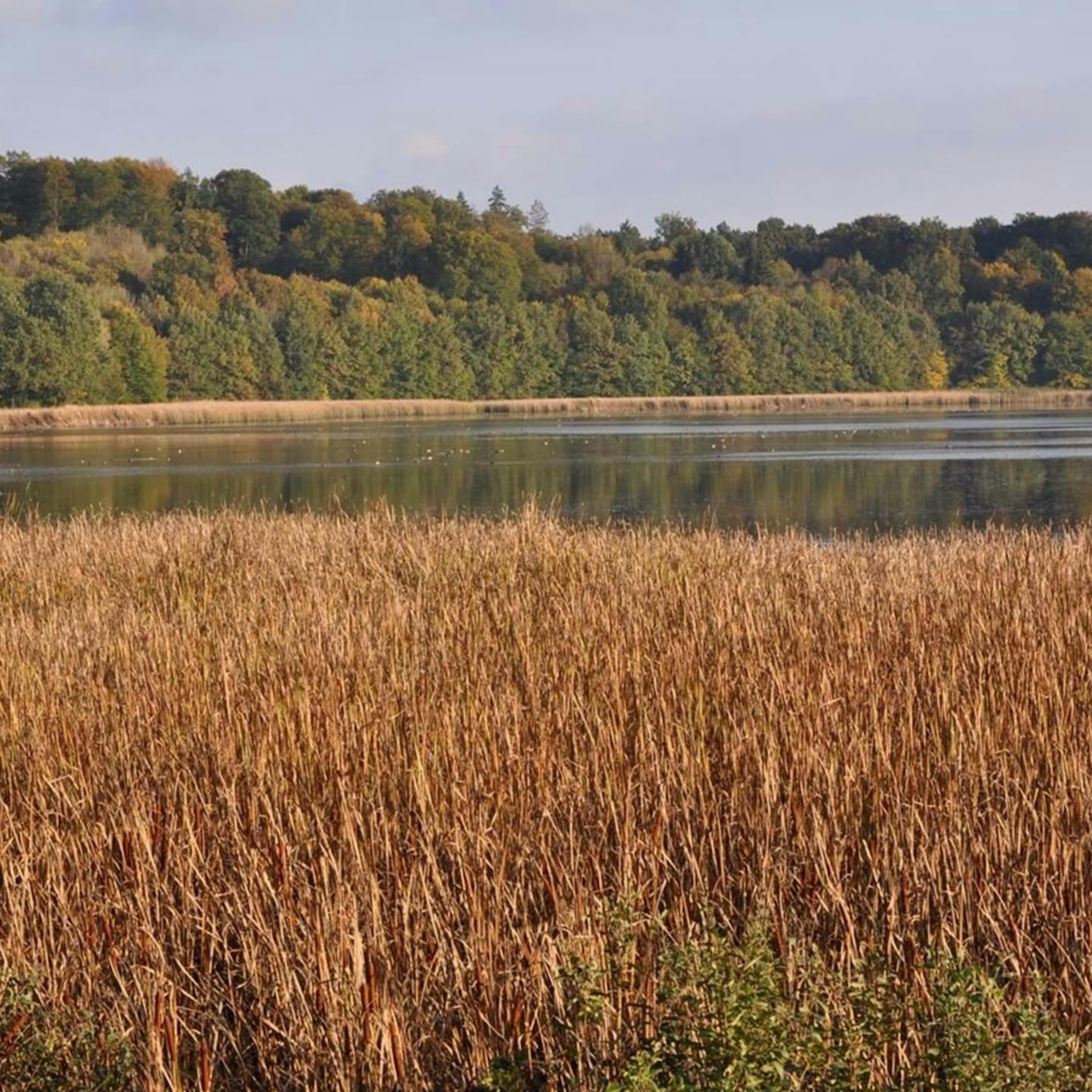 Jezero Komarnik